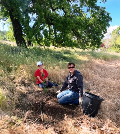 Tyler and Lucine laying down mulch around a seedling.